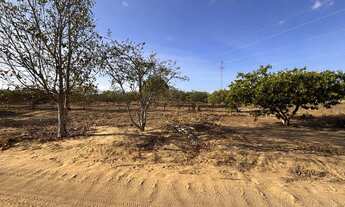 Imagem 7: Sítio em Lagoa Nova