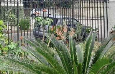 Imagem 7: Casa à venda, 280 m² por R$ 1.990.000,00 - São Francisco - Niterói/RJ