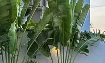 Imagem 5: Casa duplex no Jardins do lago, na cidade de Eusébio, centro! Oportunidade de verdade