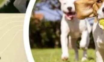 Imagem 7: LOTE EM CONDOMÍNIO RESERVA PARK [26683