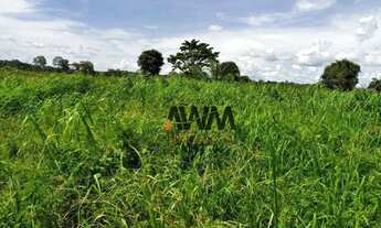 Imagem 2: Fazenda à venda, 275880 HA por R$ 9.000.000 - Zona Rural - Jussara/GO