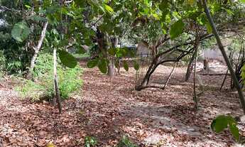 Imagem 3: SB- Vendo Sítio, na Maiobinha