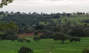 Imagem: Excelente oportunidade