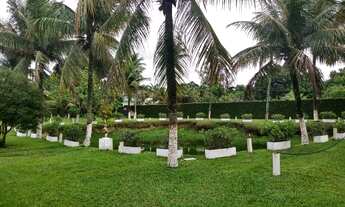 Imagem 5: Sitio festas e eventos