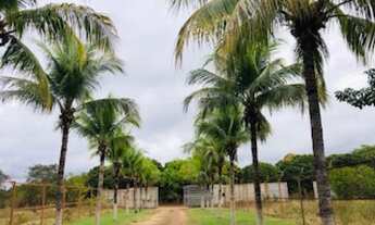 Imagem 2: Nossa Senhora do Livramento - Sítio - Rural