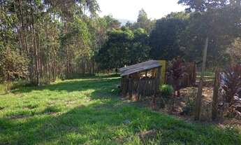 Imagem 4: Terreno 3 alqueires com nascente dentro