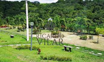 Imagem 7: Lote para Venda em Conde, Centro