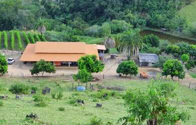 Imagem 5: Excelente Chácara de 1.5 alqueires - 6 km de Nerópolis