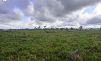 Imagem 4: FAZENDA Á VENDA EM BRASIL NOVO - PA - 663,08 HECTARES (DUPLA APTIDÃO
