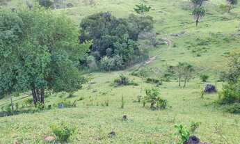 Imagem 4: Excelente Chácara de 1.5 alqueires - 6 km de Nerópolis
