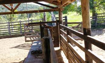 Imagem 4: Oportunidade! Vende-se um espetáculo de fazenda de 199 Alqueires