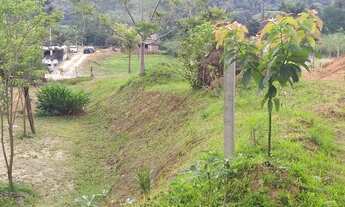 Imagem 2: Massaranduba - Terreno Padrão - Centro