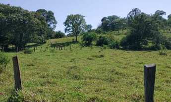 Imagem 3: Oportunidade! Vende-se um espetáculo de fazenda de 199 Alqueires