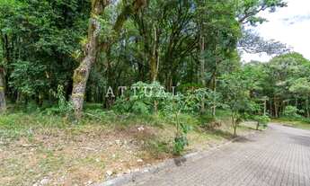 Imagem 2: CANELA - Terreno Padrão - Pinheiro Grosso