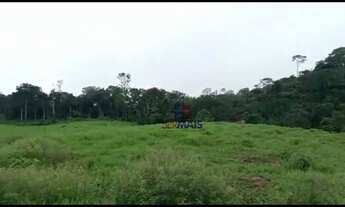 Imagem 4: Sítio à venda - Espigão D'Oeste/RO