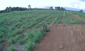 Imagem 9: Sítio à venda, 271040 m² por R$ 800.000,00 - Zona Rural - Machadinho D'Oeste/RO