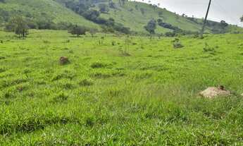 Imagem 6: Terreno 3 Hectares em Passa Tempo MG