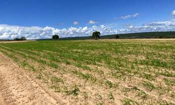 Imagem 3: Oportunidade Fazenda Ponte Branca !!!