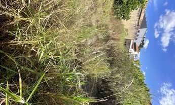 Imagem 6: Imóvel para venda possui 320 metros quadrados em Jardim América - Campinas - São Paulo,tod