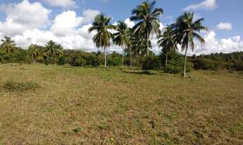 Imagem 5: Área rural 106 hectares em Conde Bahia
