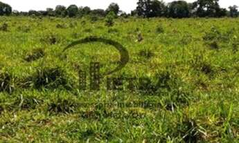 Imagem: Fazenda/Sítio/Chácara para venda possui