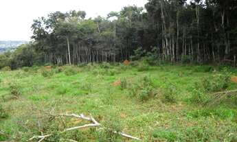 Imagem 4: VIçOSA - Chácara - Zona Rural