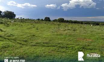 Imagem 3: Fazenda com dupla aptidão na região de Cristalândia - TO