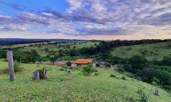 Imagem 3: Excelente Chácara de 1.5 alqueires - 6 km de Nerópolis
