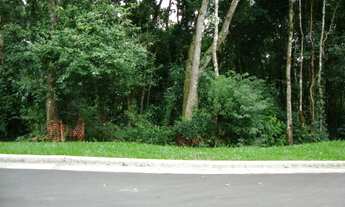 Imagem 4: Gramado - Loteamento/Condomínio - Vila Nova De Gaia