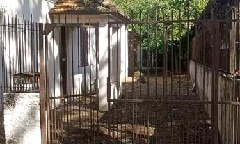 Imagem 5: Área para venda possui 754 metros quadrados no bairro Rio Branco - Novo Hamburgo - RS