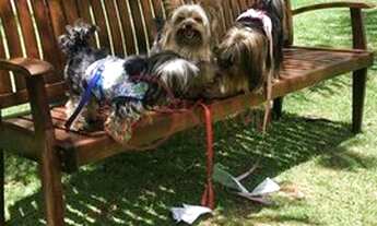 Imagem 6: Venda, Apartamento no Alpha Park, Barueri