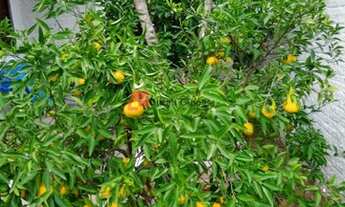 Imagem 6: Casa a Venda no bairro Igara - Canoas, RS