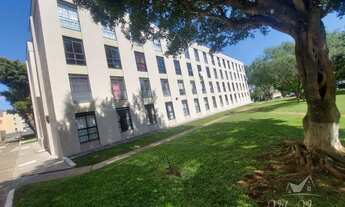 Imagem 4: APARTAMENTO MONTEIRO