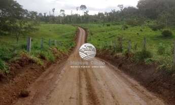 Imagem 2: Machadinho D'Oeste - Sítio - 15 Alqueires