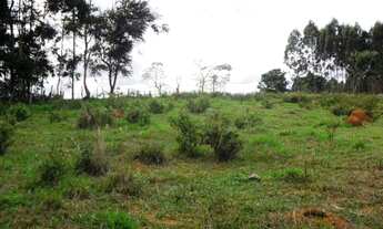 Imagem: VIçOSA - Chácara - Zona Rural