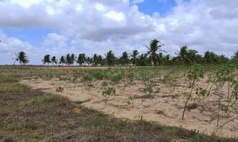 Imagem 3: Granja com 6 hectares na região de Monte Alegre