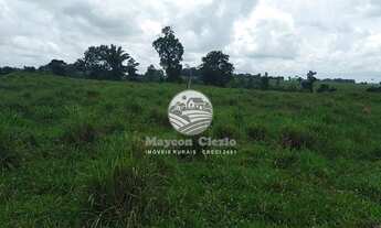 Imagem 4: Vale do Anari - Fazenda - 63 Alqueires