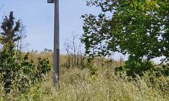 Imagem 2: Ótima negócio, Fazenda com 361 hectares em Monte do Carmo - TO