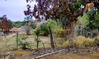 Imagem 4: Chácara com 4 dormitórios à venda, 18000 m² por R$ 230.000,00 - Zona Rural - Cachoeira de