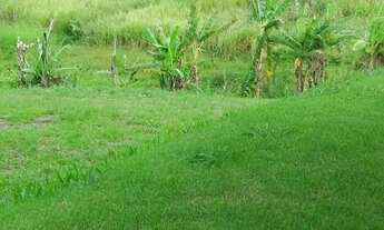 Imagem: 8 alqueires em Saquarema - Casa boa