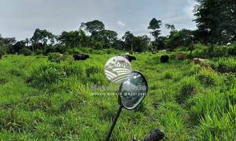 Imagem 7: Vale do Anari - Fazenda - 63 Alqueires