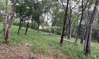 Imagem 7: Vendo Fazenda 1.000 alqueires, Ponte Alta do Tocantins