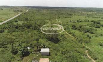 Imagem 6: Fazenda no Pará - Santa Luzia do Pará - 7487 ha (1547 alq