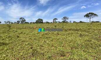 Imagem 4: FELIXLâNDIA - Fazenda - Zona Rural