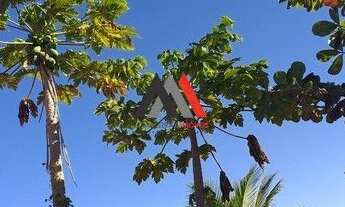 Imagem 6: Excelente Sitio em Lagoa Santa