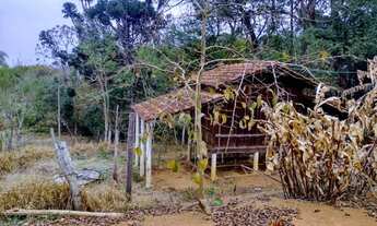 Imagem 5: Chácara com 4 dormitórios à venda, 18000 m² por R$ 230.000,00 - Zona Rural - Cachoeira de