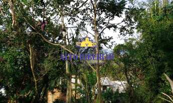 Imagem 2: TERRENO COSTA DE DENTRO DOS AÇORES