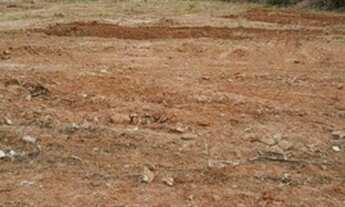 Imagem 2: SãO PAULO - Terreno Padrão - Ipiranga