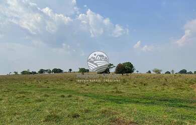 Imagem 3: Alvorada D'Oeste - Fazenda - Alvorada