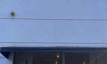 Imagem 6: Salão Comercial para Locação em São Paulo, Vila Gomes Cardim, 5 banheiros, 10 vagas